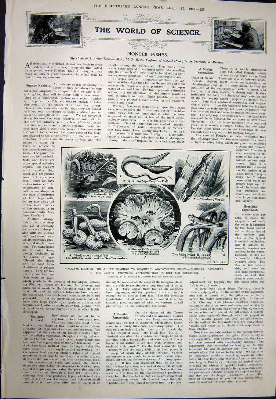 Original Old Vintage Print 1923 Telephony Olympia Sound-Distribution Fishes