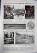 Antique Old Print 1923 Game Birds Nest Woodcock Amazon Fish Dolphin Negro 20th