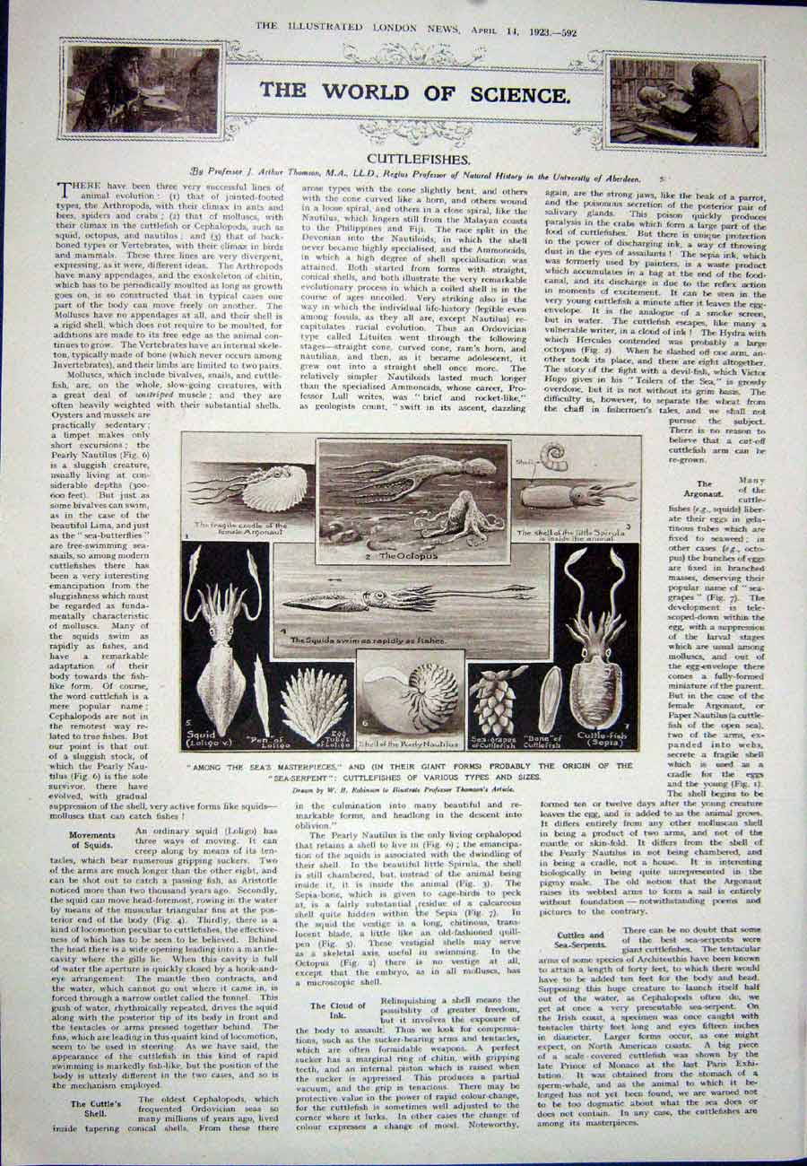 Antique Old Print 1923 Rachele Mussolini Children Edda Bruno Cuttlefishes 20th