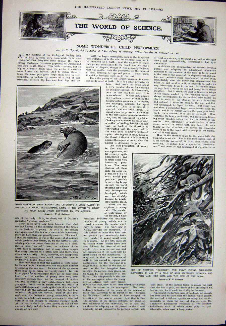Original Old Vintage Print 1923 Greek Art Treasures Bronze Mirror Sea-Elephant