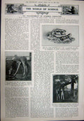 Old Vintage Print 1923 Royal Ascot Grand Stand Sport Salamanders Giraffe 20th