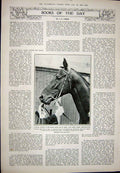 Old Vintage Print 1923 Mount Etna Lava Village Cerro Weathervane Horse 20th
