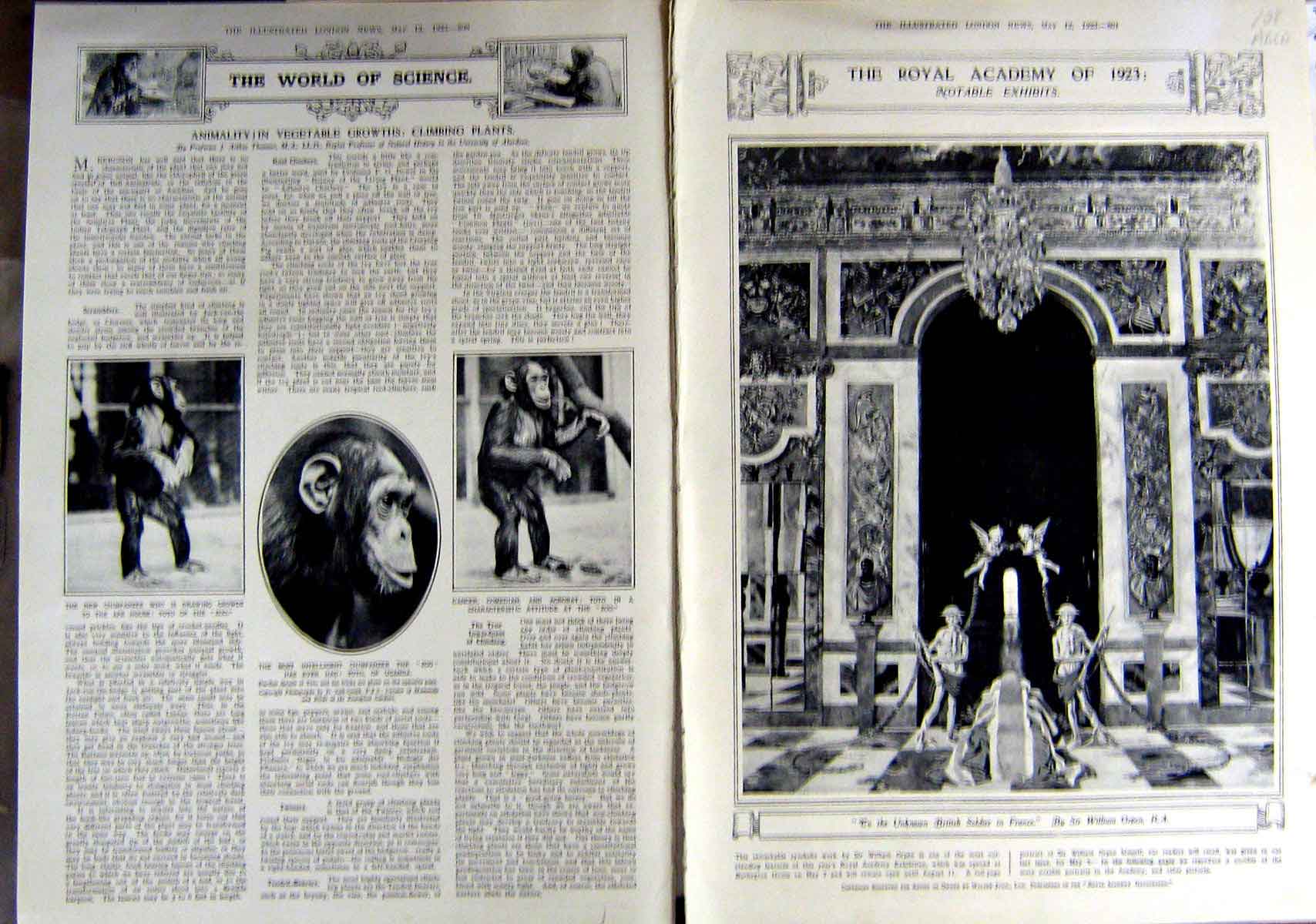 Antique Old Print 1923 Duchess York Royal Academy Art Paintings Portraits 20th