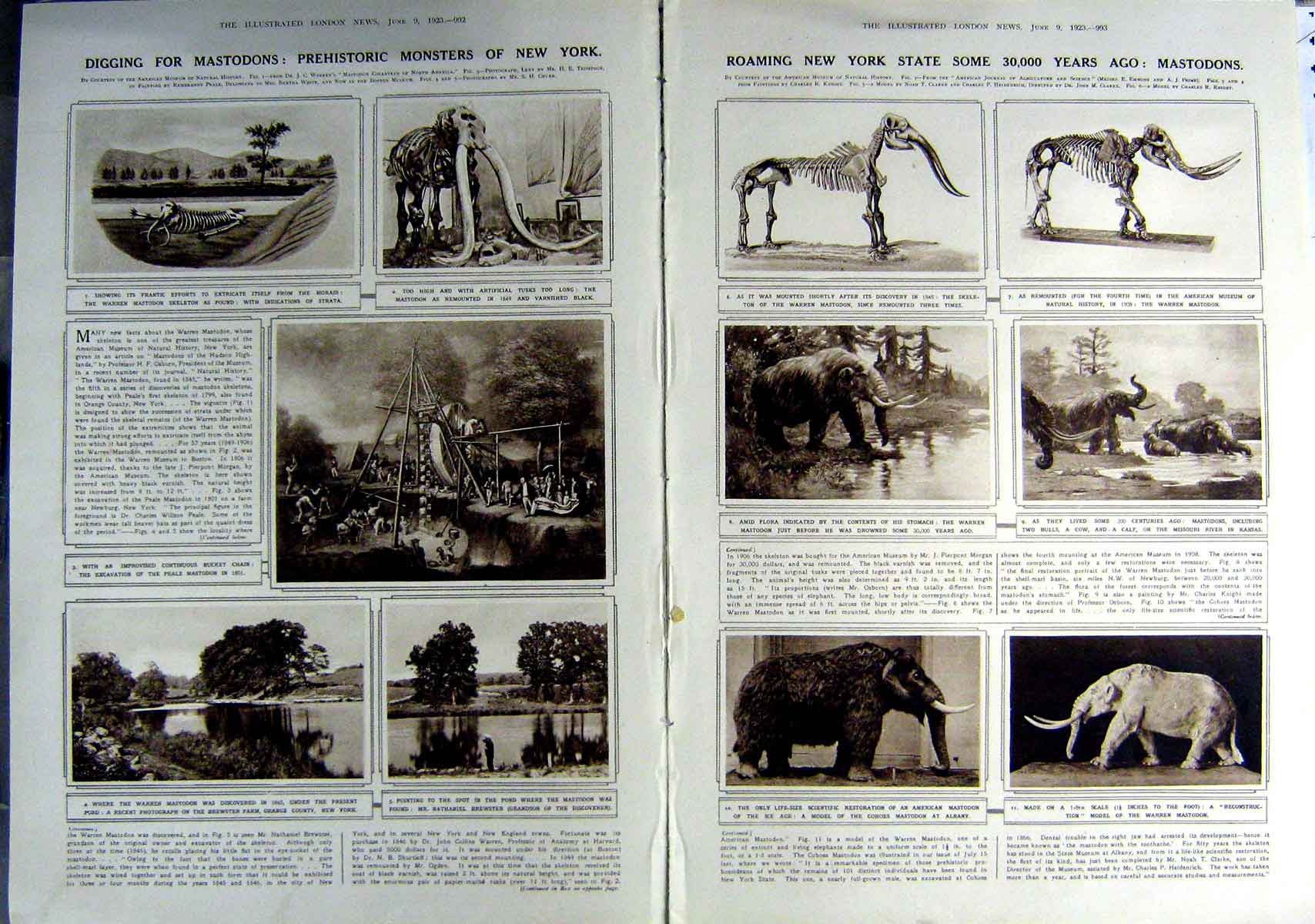 Old Vintage Print 1923 Mastadons Prehistoric Monsters Battle Boyne King 20th