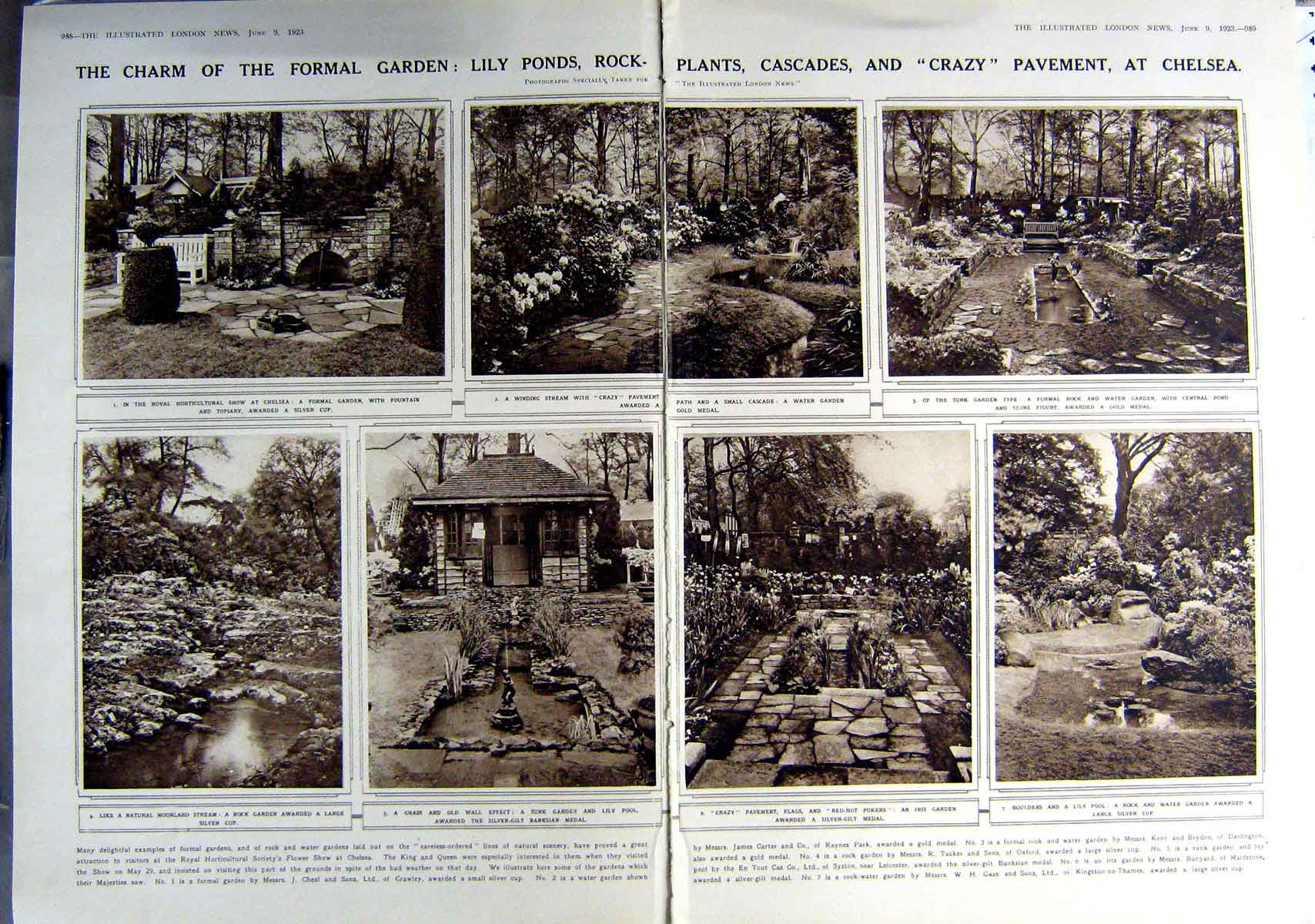 Original Old Vintage Print 1923 Chelsea Gardens Lily Ponds Plants Kent Orchard