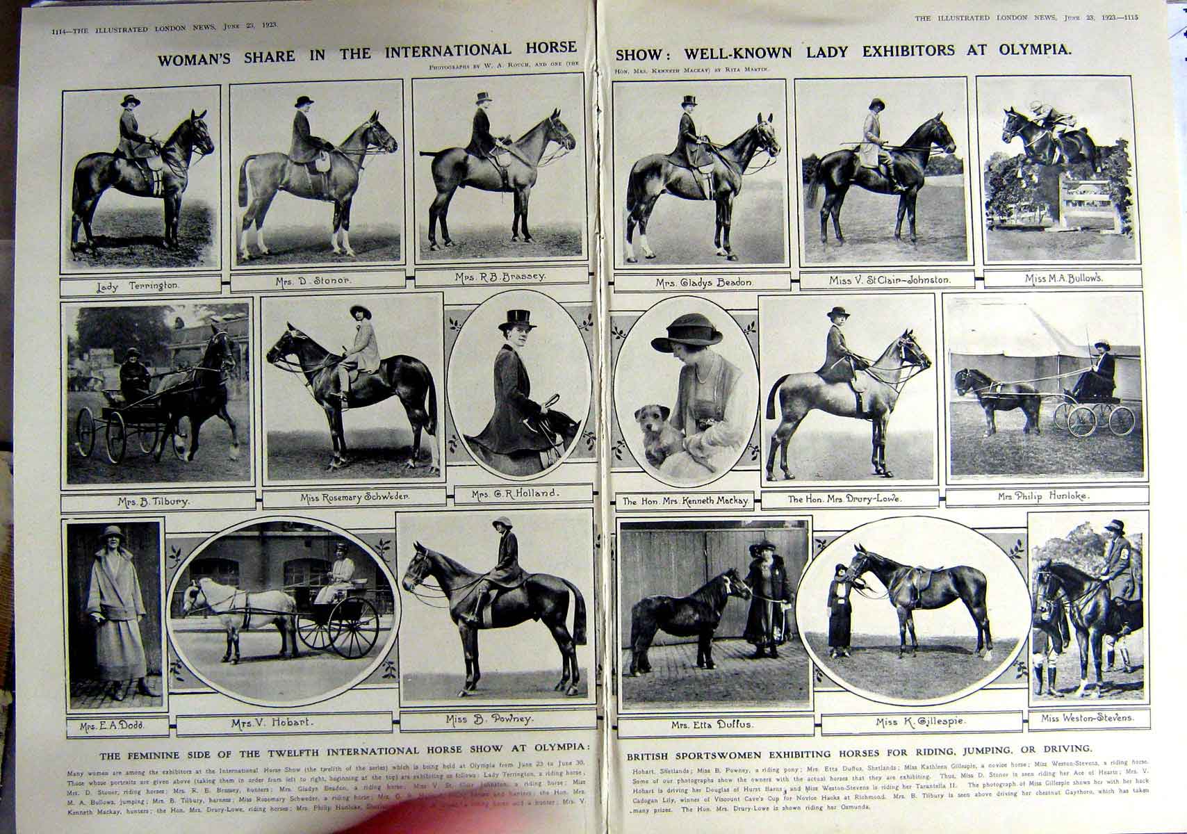 Old Vintage Print 1923 Olympia Horses Stonor Tilbury Powney Dodd Ladies 20th