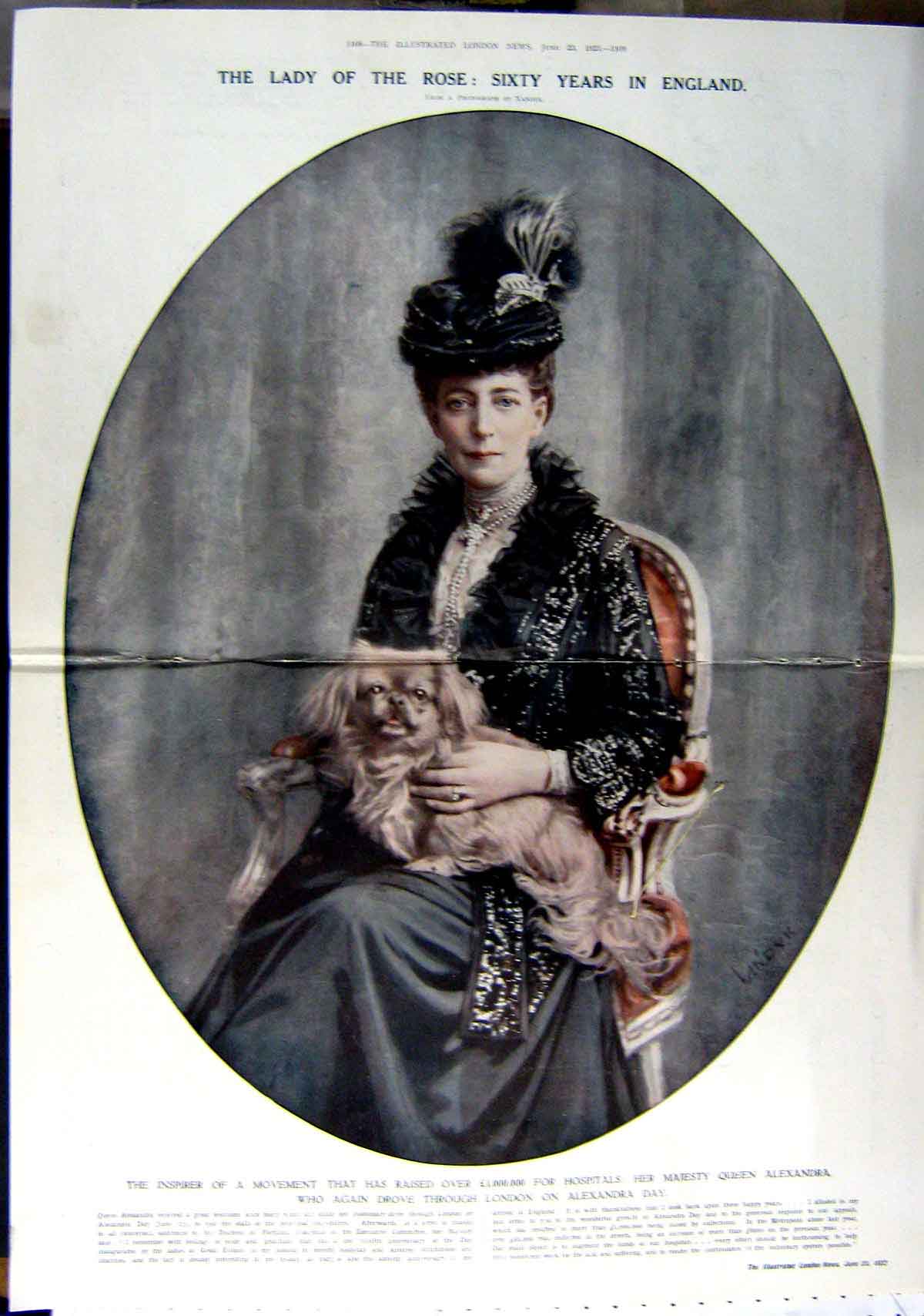 Old Vintage Print 1923 Portrait Queen Alexandra Dog Prince Wales Walsall 20th