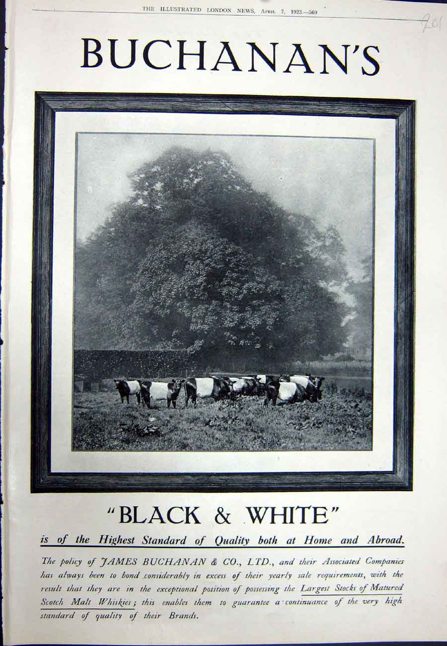 Antique Old Print Ref.932 1923 Advertisement Black Buchanan'S Scotch Whisky
