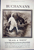 Antique Old Print Ref.933 1923 Advertisement Black Buchanan'S Scotch Whisky
