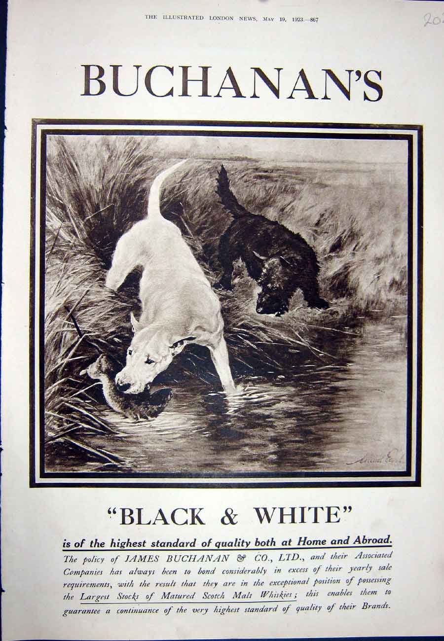 Antique Old Print Ref.933 1923 Advertisement Black Buchanan'S Scotch Whisky