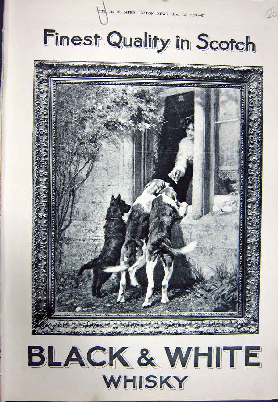 Original Old Vintage Print 1923 Advertisement Black White Scotch Whisky Dogs