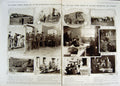 Antique Old Print *2998 1912 Coal Strike Pit Pony Derbyshire Haydock Germany