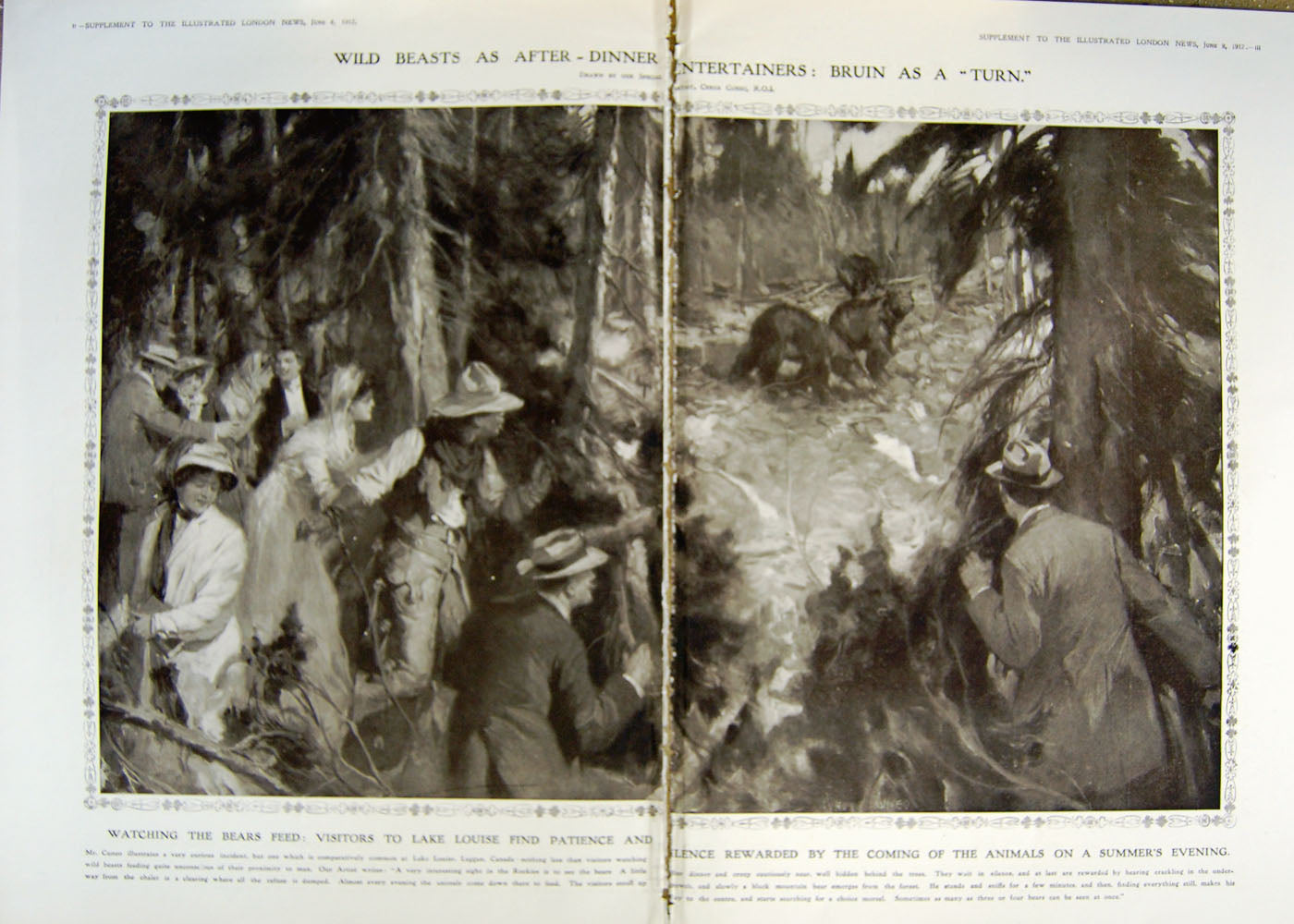 Old Print *3021 1912 Rockies Bear Cuneo Lake Louise Laggan Train Canada