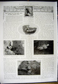 Old Antique Print 1912 Horse Show Jumping Olympia Bronze Augustus Meroe 20th