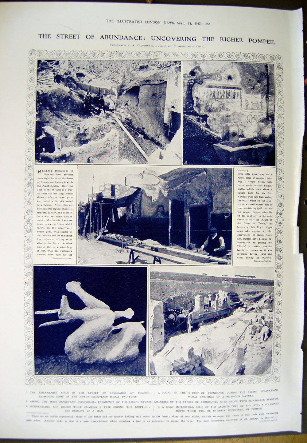 Old Antique Print 1912 Partridge Fighting Birds India Pompeii Abundance 20th