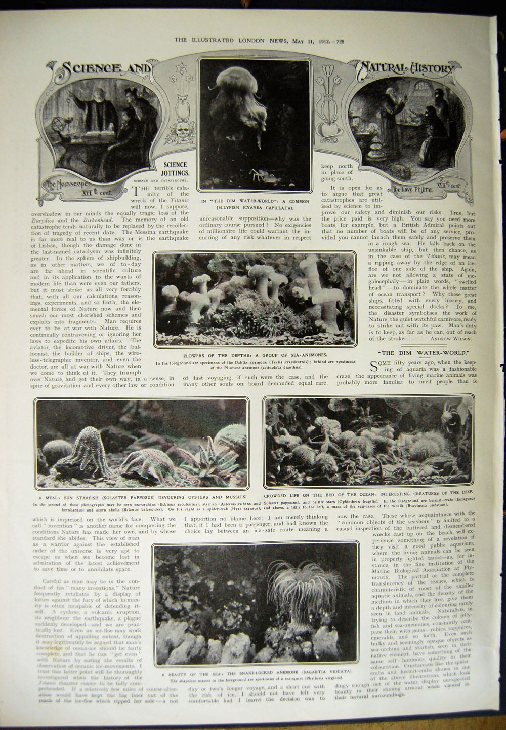 Antique Old Print 1912 Dardanelles Italian War Ships Sea Anemones Mussels 20th