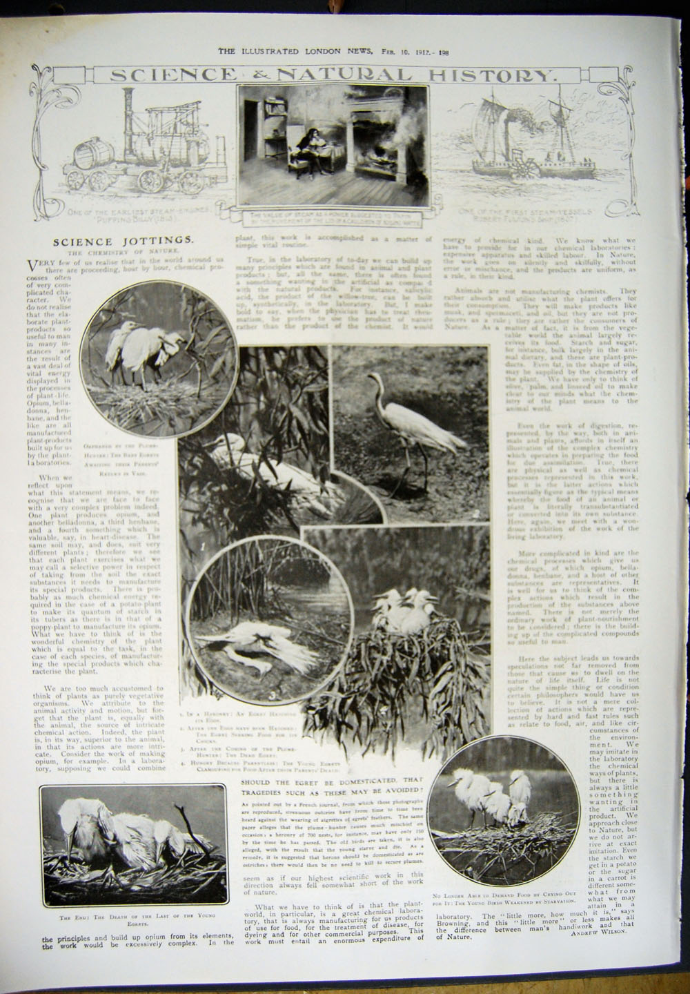 Old Antique Print 1912 Life-Boat Submarine Portsmouth Birds Egret Nature 20th