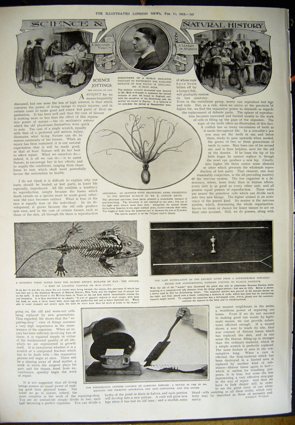 Old Antique Print 1912 Hunting Eagles Bird China Eryops Science History 20th