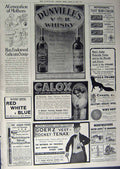 Old Antique Print 1912 Advertisement Whisky Calox Hair Curlers Soap Pen 20th