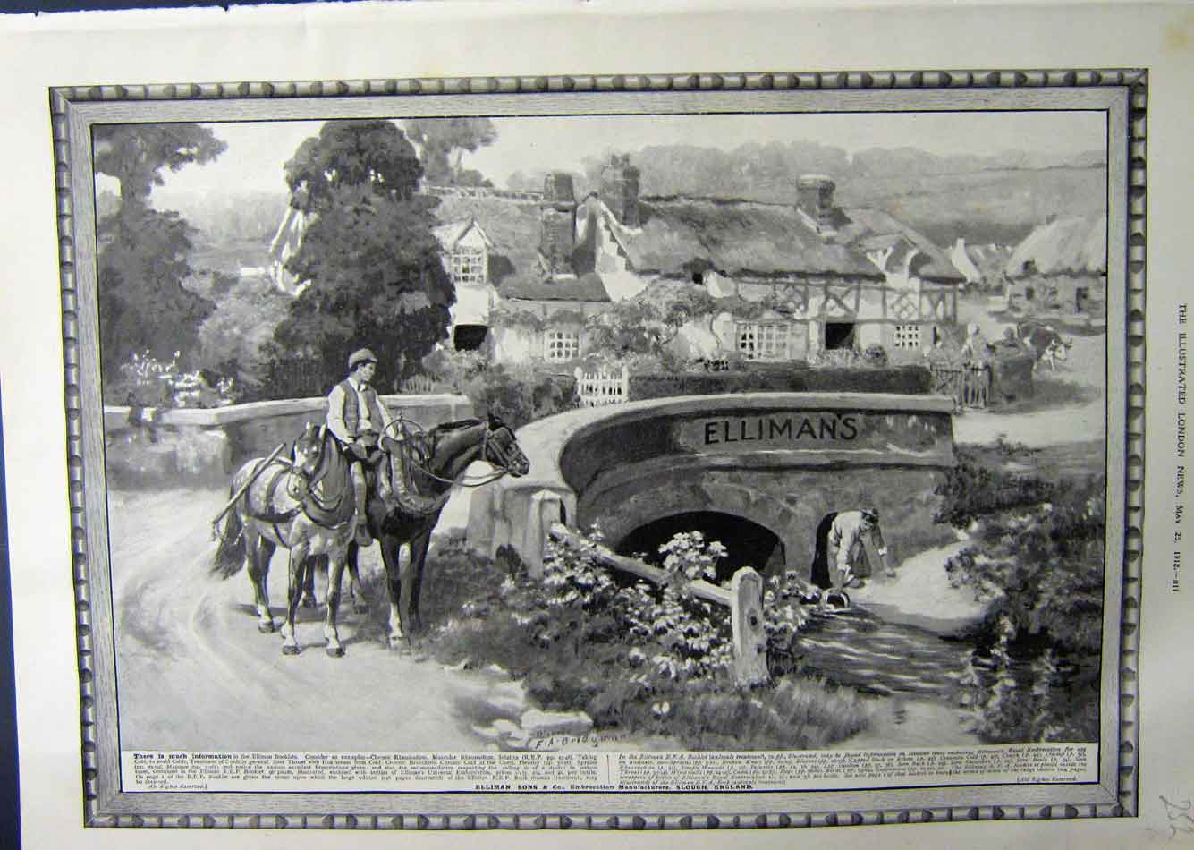 Old Antique Print 1912 Advertisement Ellimans Embrocation Slough Horses 20th