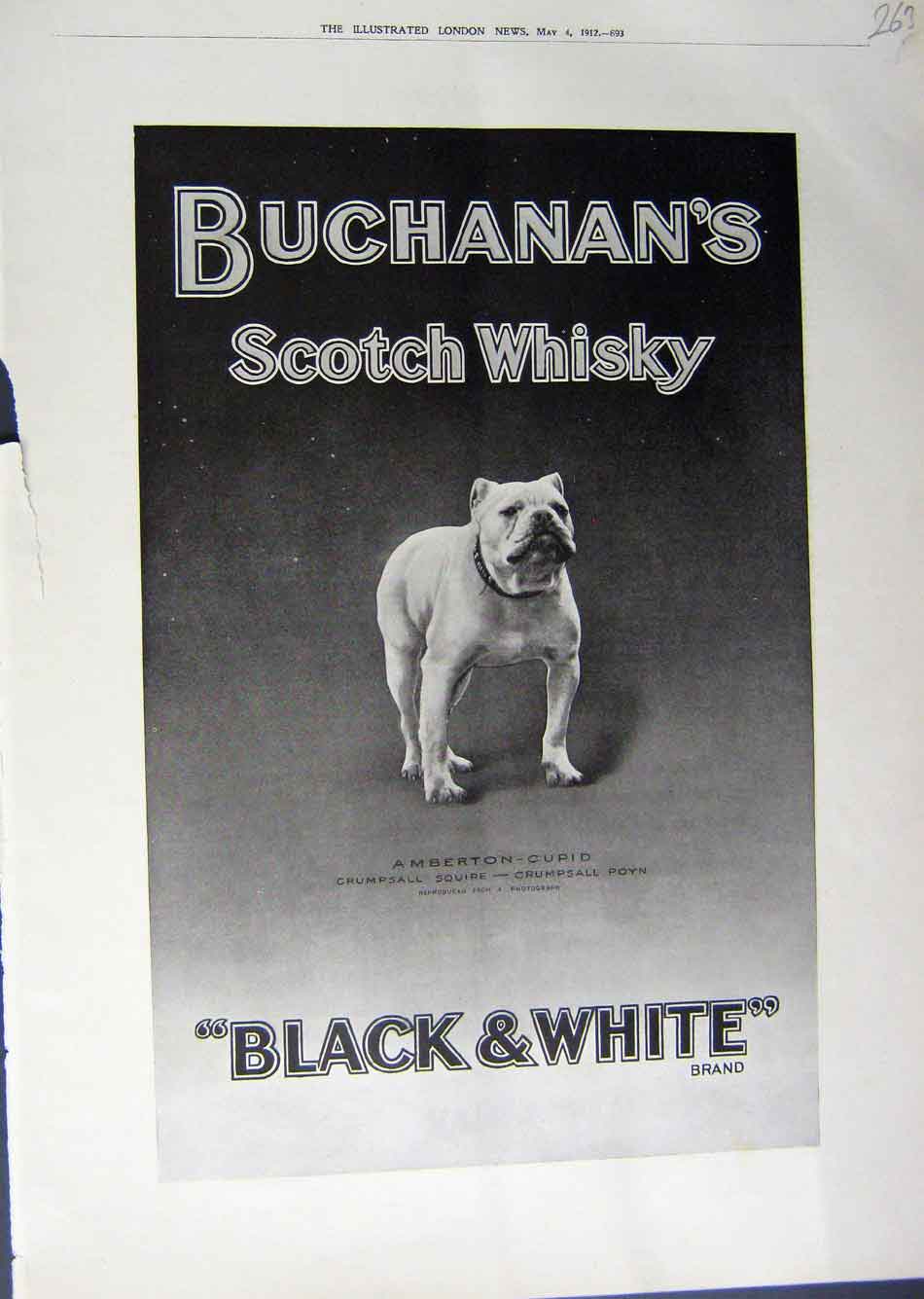 Old Print Ref.951 1912 Advertisement Buchanans Scotch Whisky Black White