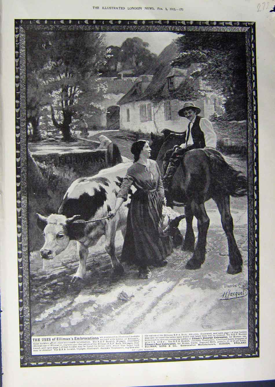 Antique Print Ref.956 1912 Advertisement Ellimans Embrocation Slough Horses