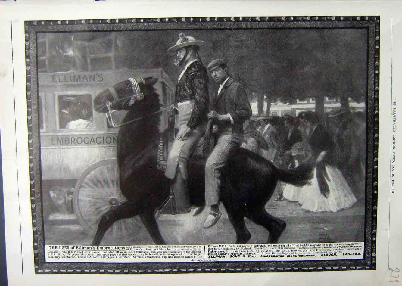 Antique Print Ref.958 1912 Advertisement Ellimans Embrocation Slough Horses