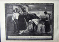 Antique Print Ref.959 1912 Advertisement Ellimans Embrocation Slough Horses