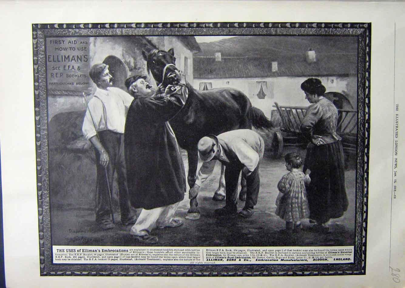 Antique Print Ref.959 1912 Advertisement Ellimans Embrocation Slough Horses