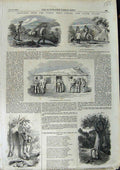 Original Old Antique Print 1852 Turon GFields Australia Post-Office Sofala 19th
