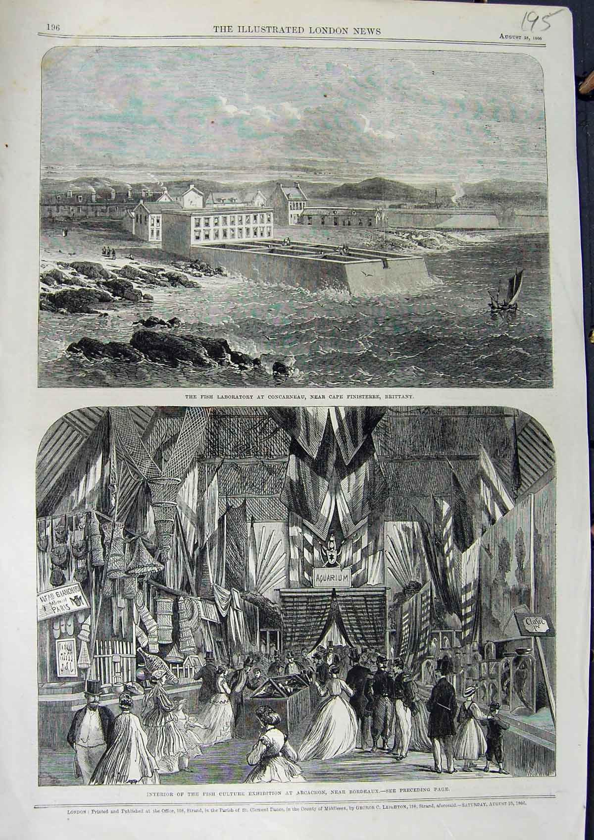 Original Old Antique Print 1866 Fish Laboratory Concarneau Brittany Arcachon