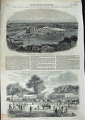 Original Old Antique Print 1851 Royal Cattle Agricultural Show Windsor Castle