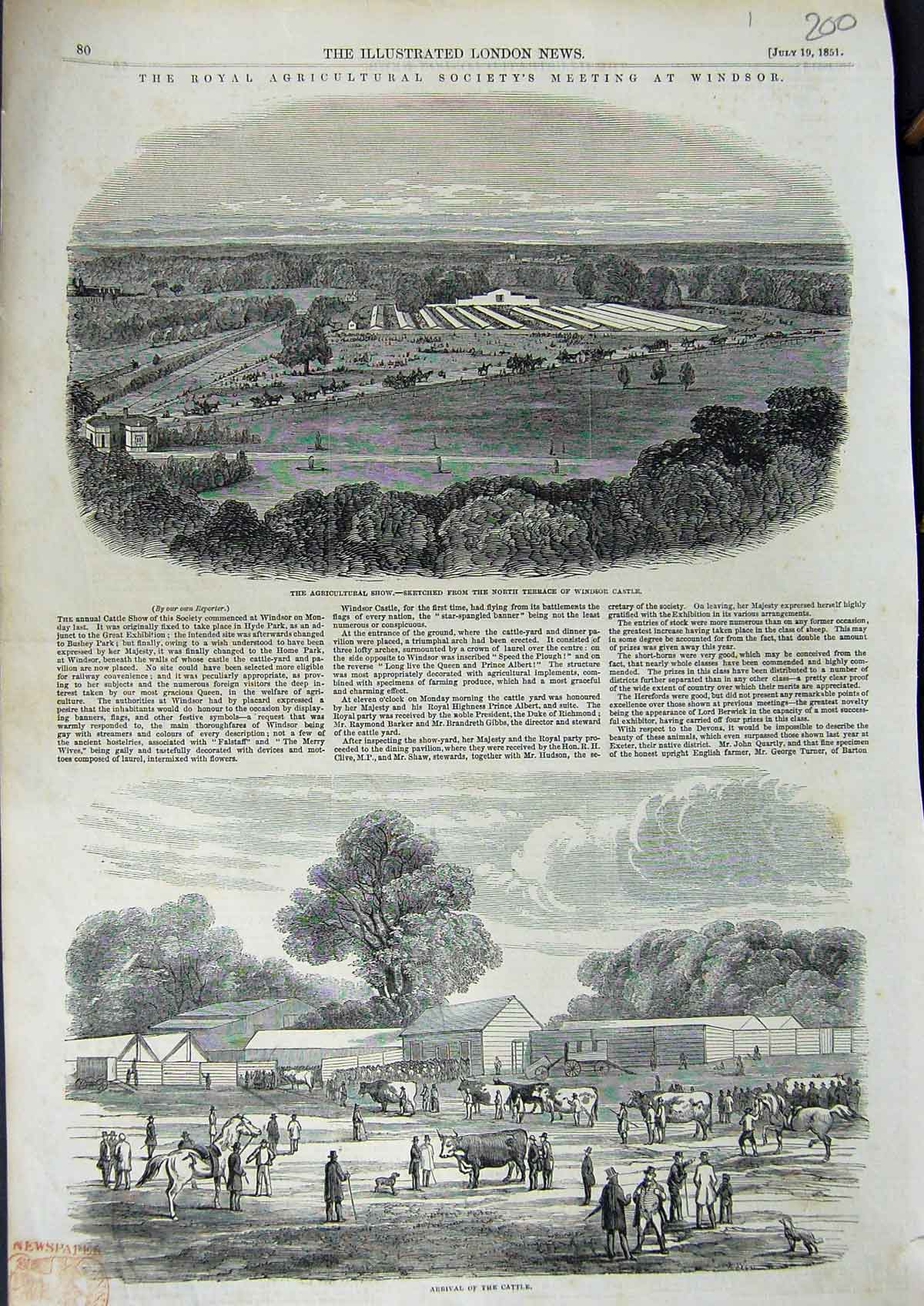 Original Old Antique Print 1851 Royal Cattle Agricultural Show Windsor Castle