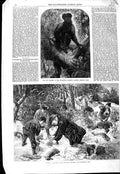 Original Old Antique Print 1867 Monkey Zoological Gardens Ferreting Christmas