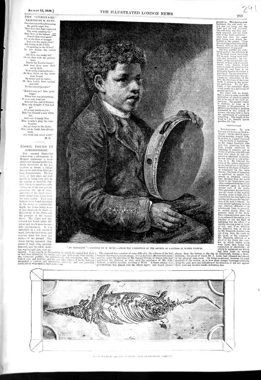 Old Antique Print 1856 Fossil Lias Quarries Glastonury Somerset Music Boy 19th