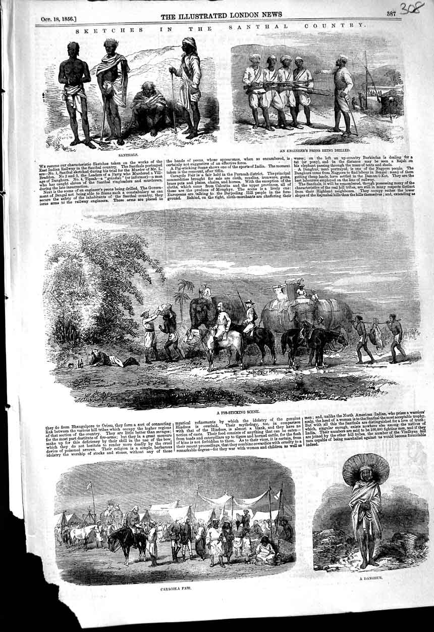 Original Old Antique Print 1856 Santhal Country Pig Sticking Caragola Danghur