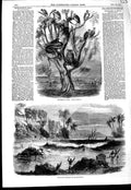 Original Old Antique Print 1856 Floods India Tree Refuge Travellers Inundation