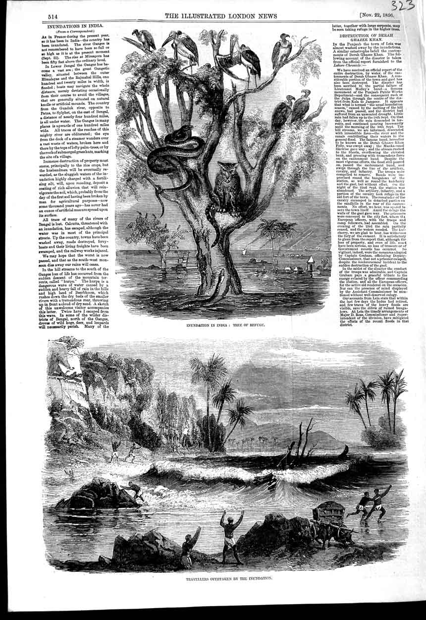 Original Old Antique Print 1856 Floods India Tree Refuge Travellers Inundation