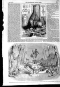 Old Antique Print 1857 Crimean British Museum Adelphi Theatre Pantomime 19th