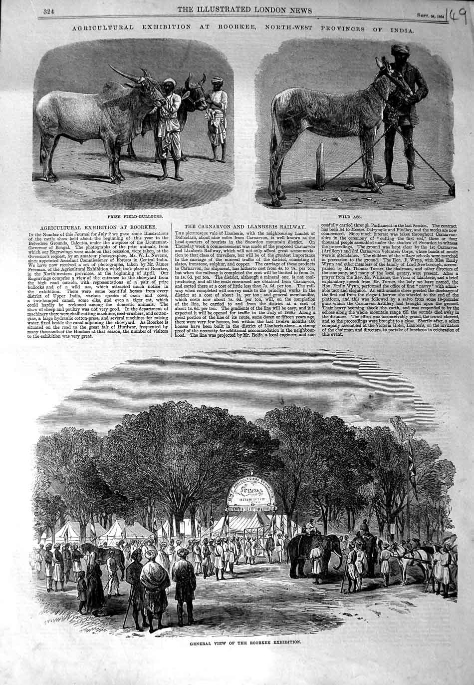 Old Antique Print Agricultural Exhibition Roorkee India Ass Bullocks 1864 19th