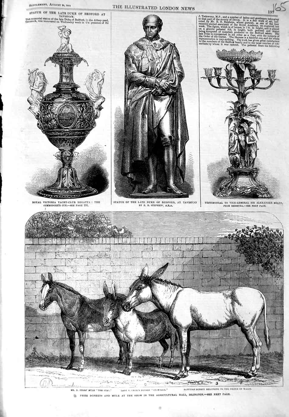 Old Antique Print Statue Duke Bedford Milne 1864 Prize Donkeys Islington 19th