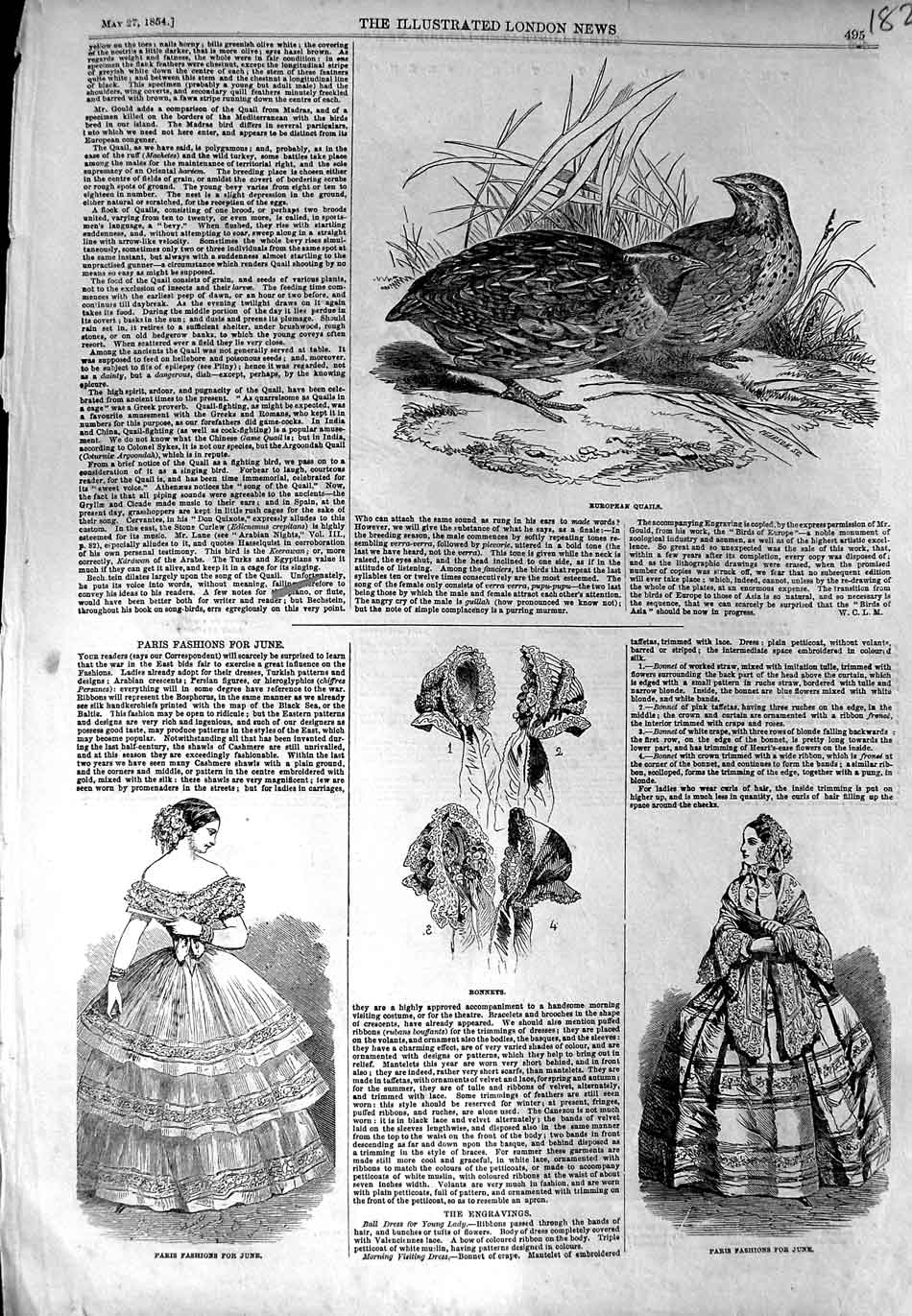 Original Old Antique Print 1854 European Quail Bird Bonnets Fashion Dresses