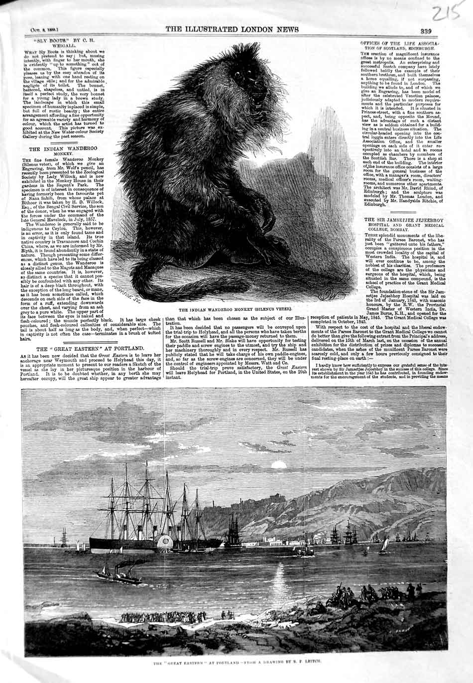 Old Antique Print Indian Wanderoo Monkey 1859 Great Eastern Ship Portland 19th