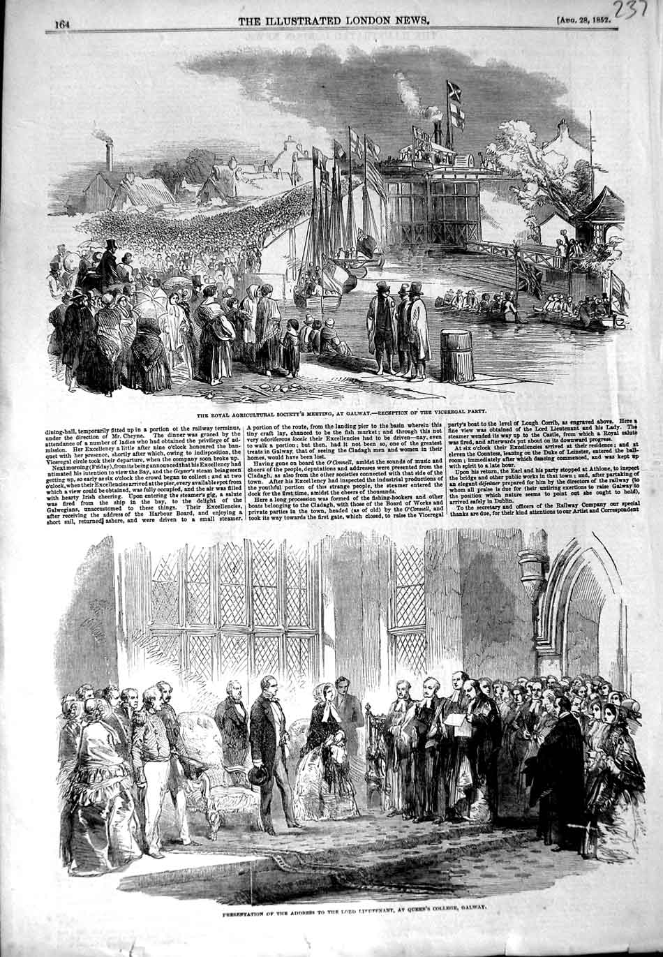 Original Old Antique Print 1852 Agriculture Meeting Galway Lieutenant College
