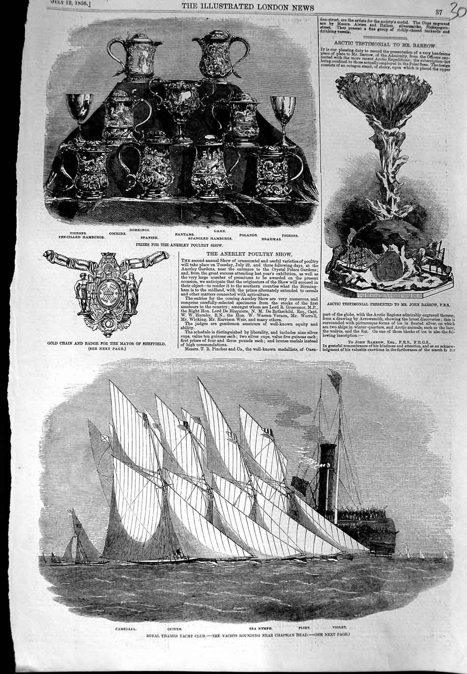 Old Antique Print 1856 Thames Yacht Club Nymph Camellia Poultry Show Cups 19th
