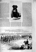 Old Antique Print 1883 Southsea Charity Dog Brake Middlesex Army Bushey 19th