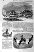 Old Antique Print 1859 John Kent Newfoundland Fishery Head Gaour Thames 19th