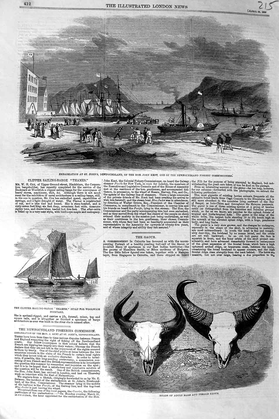 Old Antique Print 1859 John Kent Newfoundland Fishery Head Gaour Thames 19th