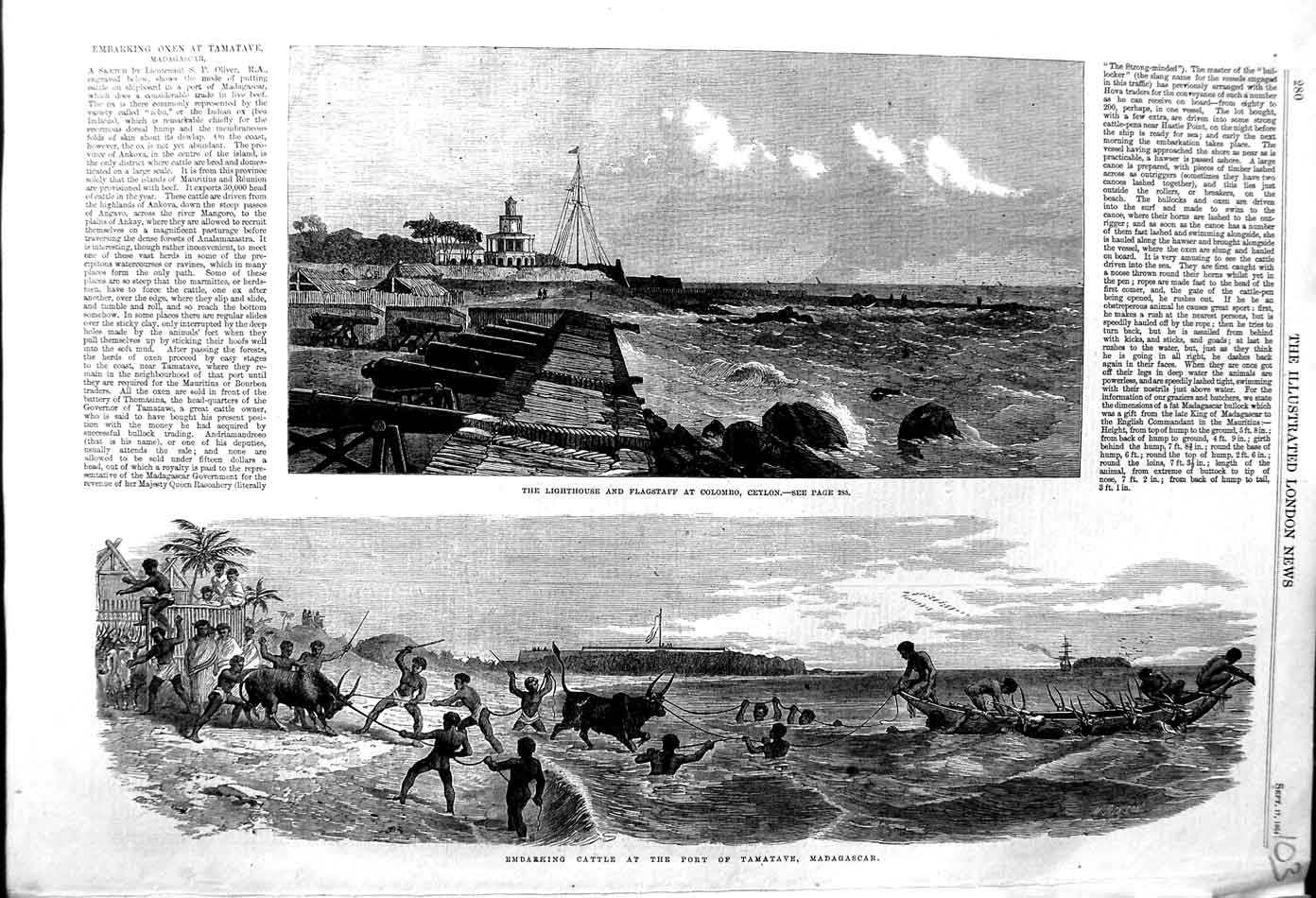 Original Old Antique Print 1864 Lighthouse Flagstaff Colombo Ceylon Madagascar