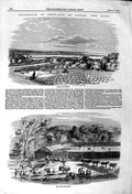 Original Old Antique Print 1858 Cultivation Arrow-Root Port Natal Laboratory
